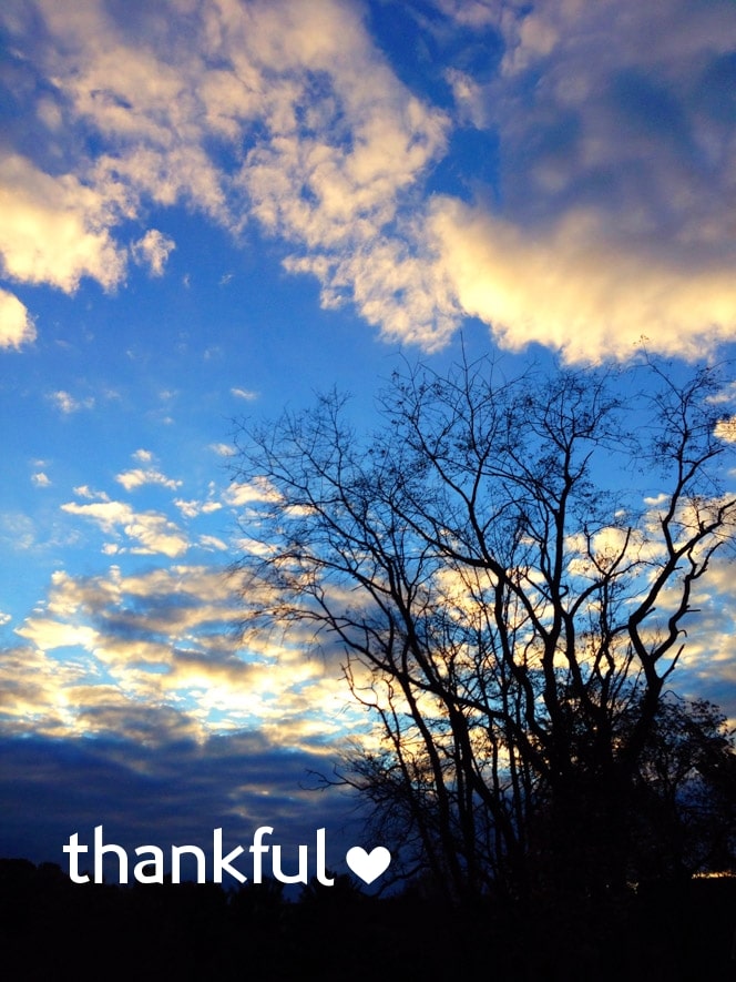 happy thanksgiving! I howsweeteats.com