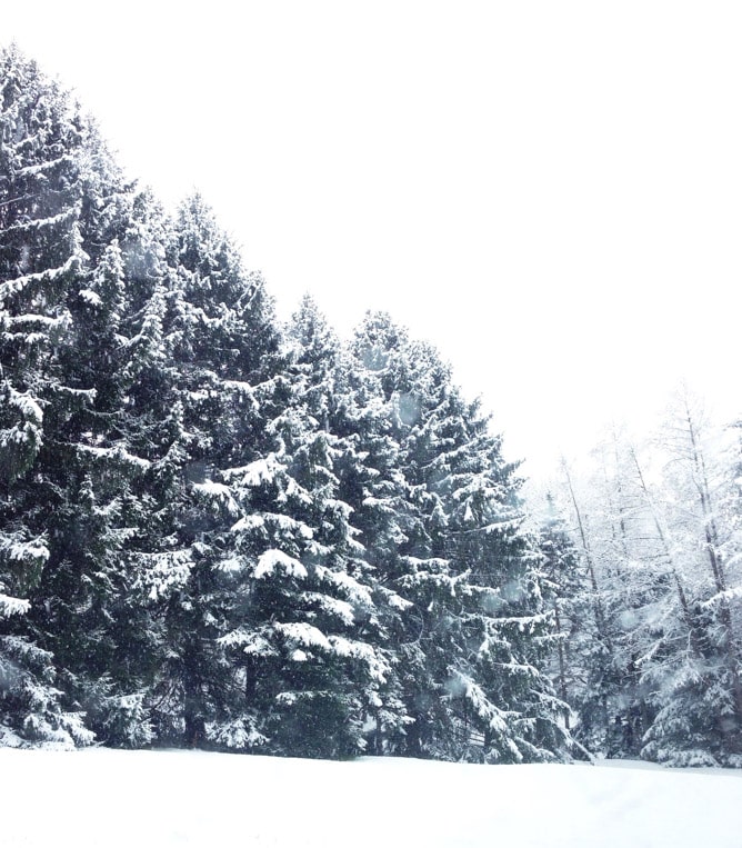 tuesday things I howsweeteats.com