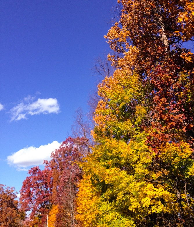 weekend things I howsweeteats.com