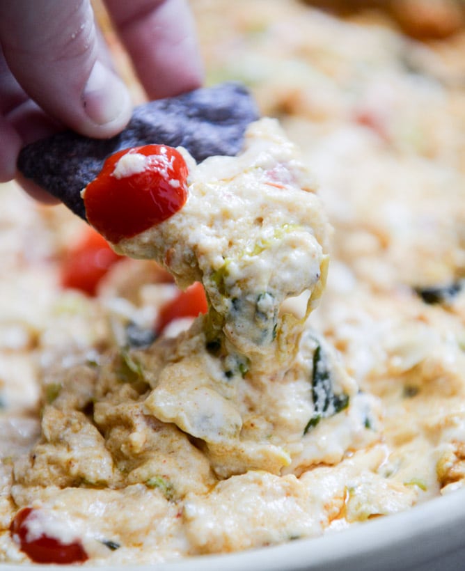 chicken enchilada dip I howsweeteats.com