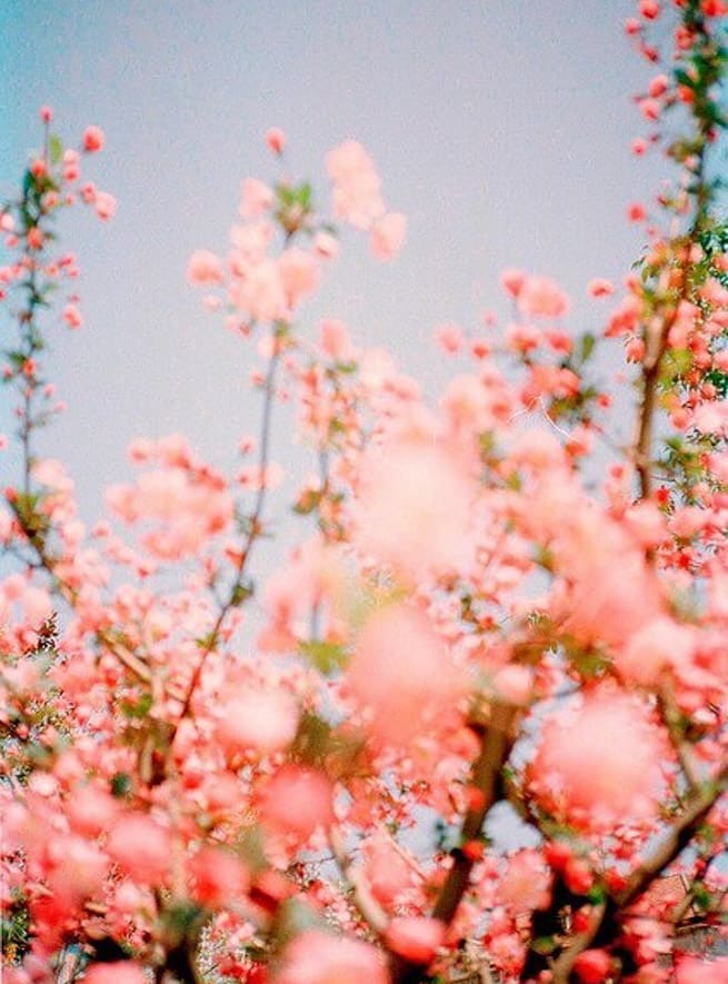 currently crushing on I howsweeteats.com