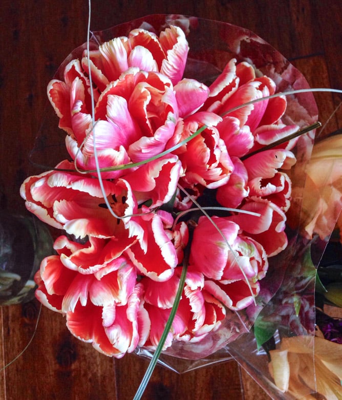 favorites in fives I howsweeteats.com