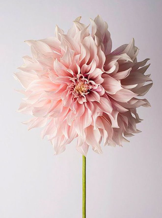 currently crushing on I howsweeteats.com