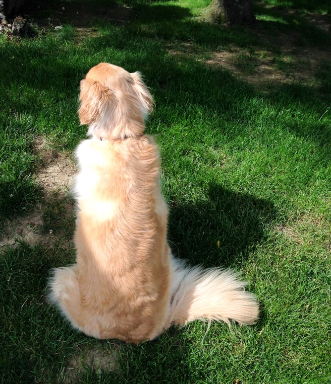 long weekend things I howsweeteats.com