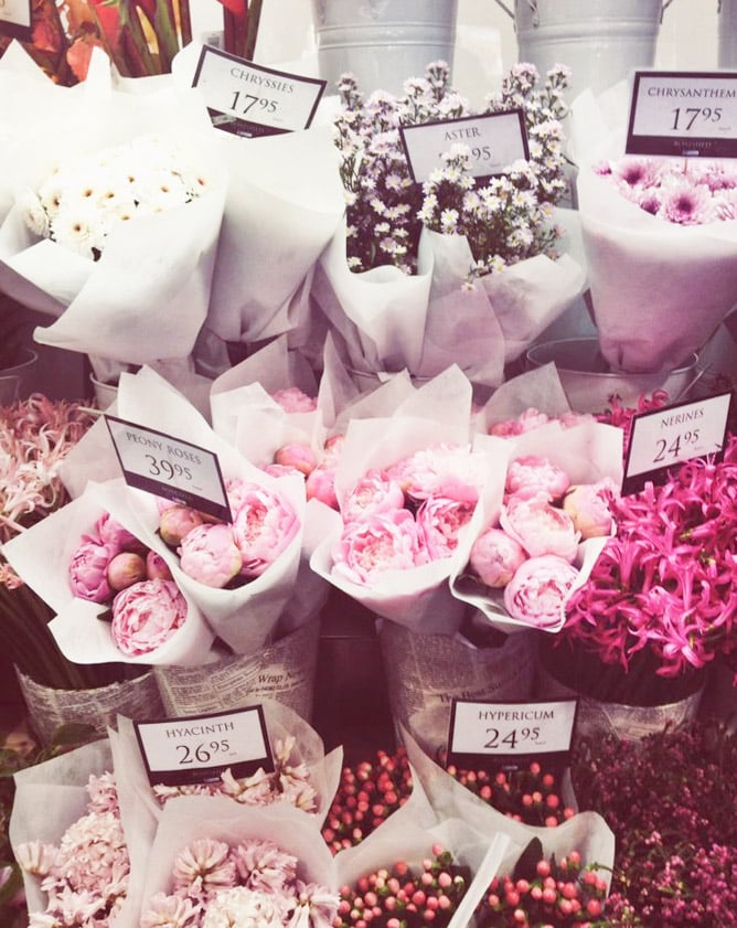 currently crushing on I howsweeteats.com