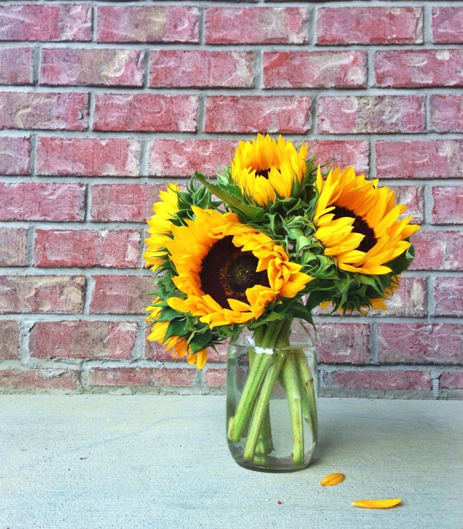 tuesday things I howsweeteats.com