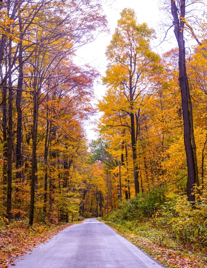 a little autumn drive I howsweeteats.com