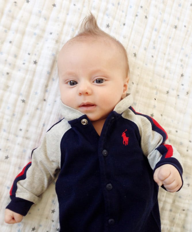 life with max: twelve weeks in I howsweeteats.com