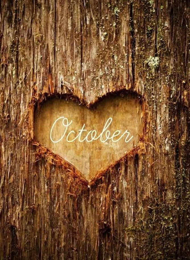 currently crushing on I howsweeteats.com