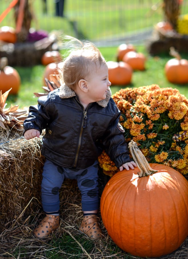 sunday autumn drive I howsweeteats.com