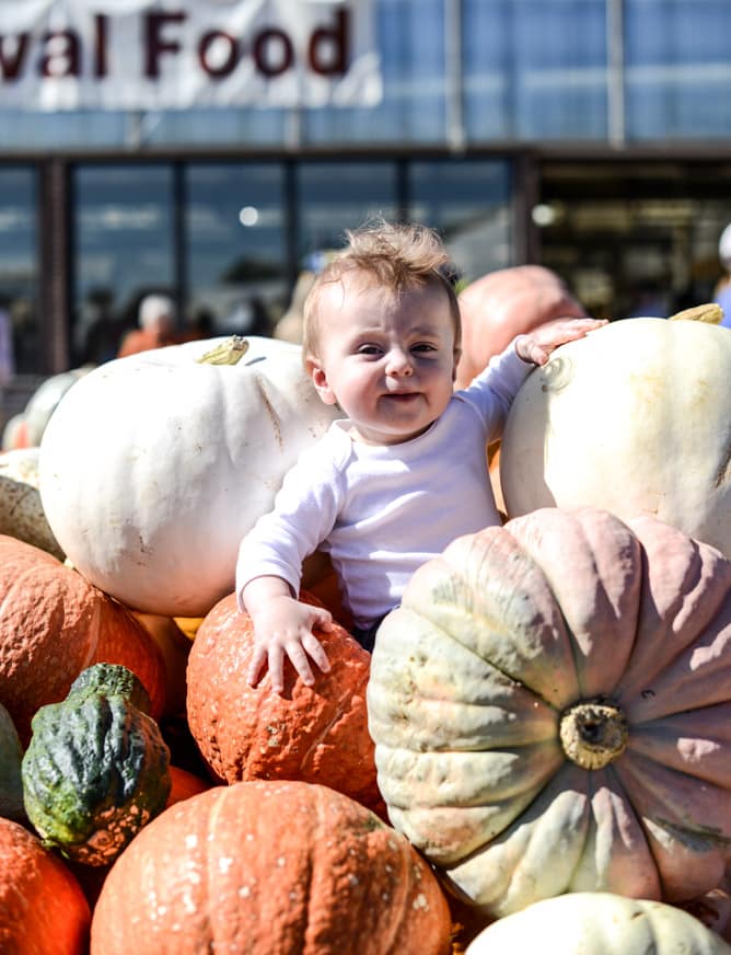 weekend things I howsweeteats.com