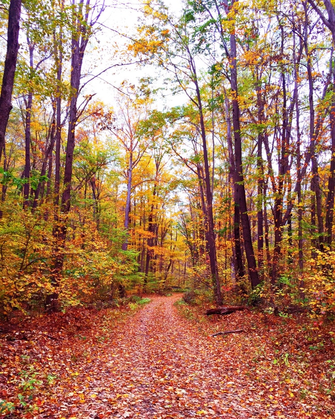 tuesday things I howsweeteats.com