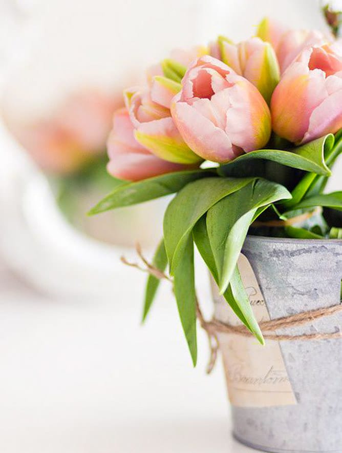 currently crushing on I howsweeteats.com