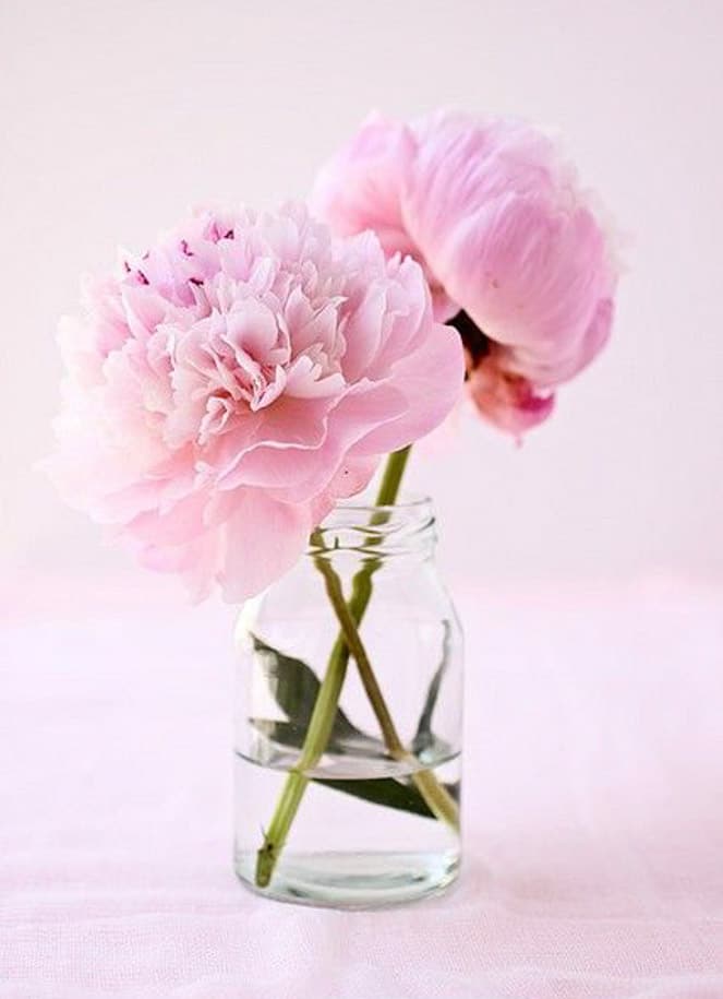 currently crushing on I howsweeteats.com