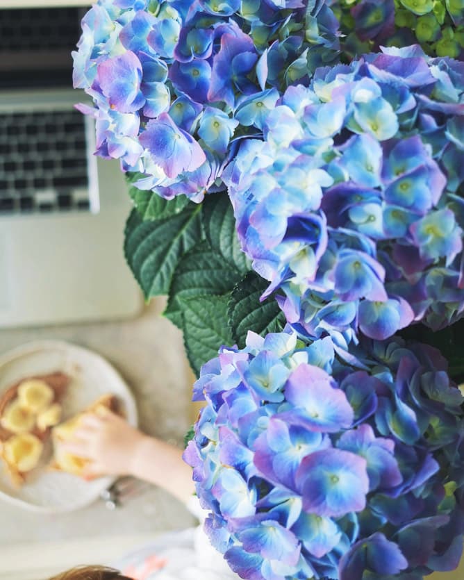 currently crushing on I howsweeteats.com