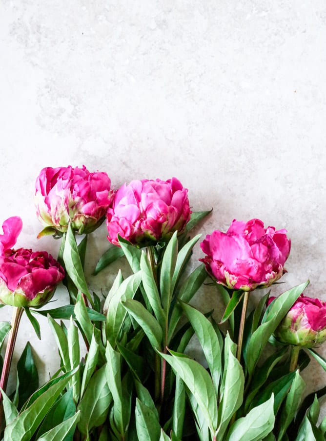 tuesday things I howsweeteats.com