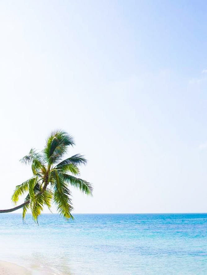 currently crushing on I howsweeteats.com