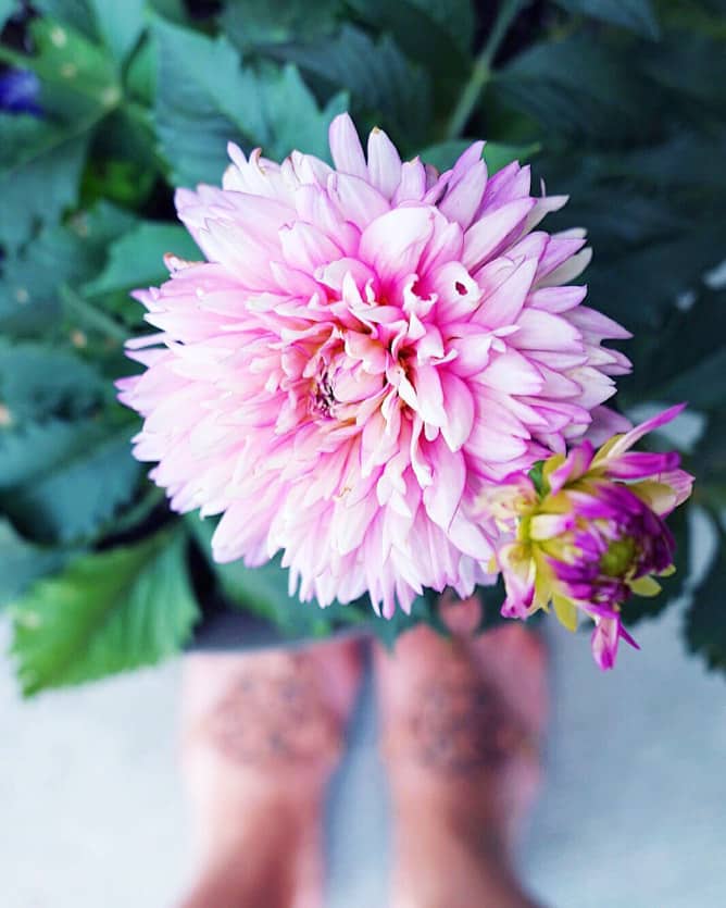 tuesday things I howsweeteats.com