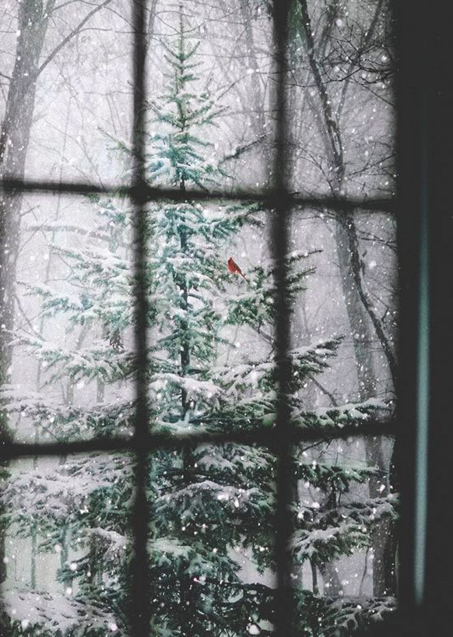 currently crushing on I howsweeteats.com