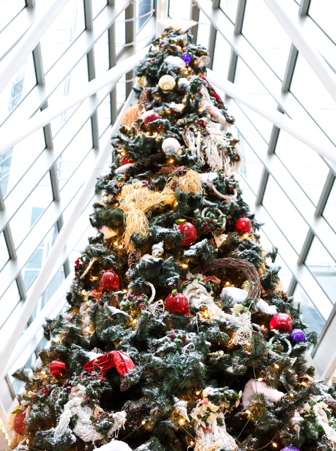 merry christmas! I howsweeteats.com 