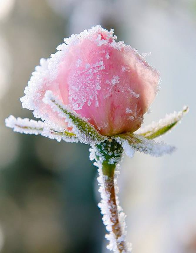 currently crushing on I howsweeteats.com 