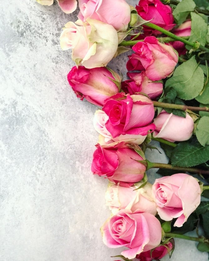 tuesday things I howsweeteats.com 