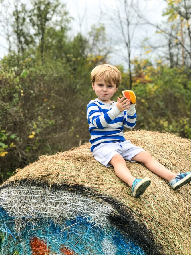 pumpkin patch I howsweeteats.com 