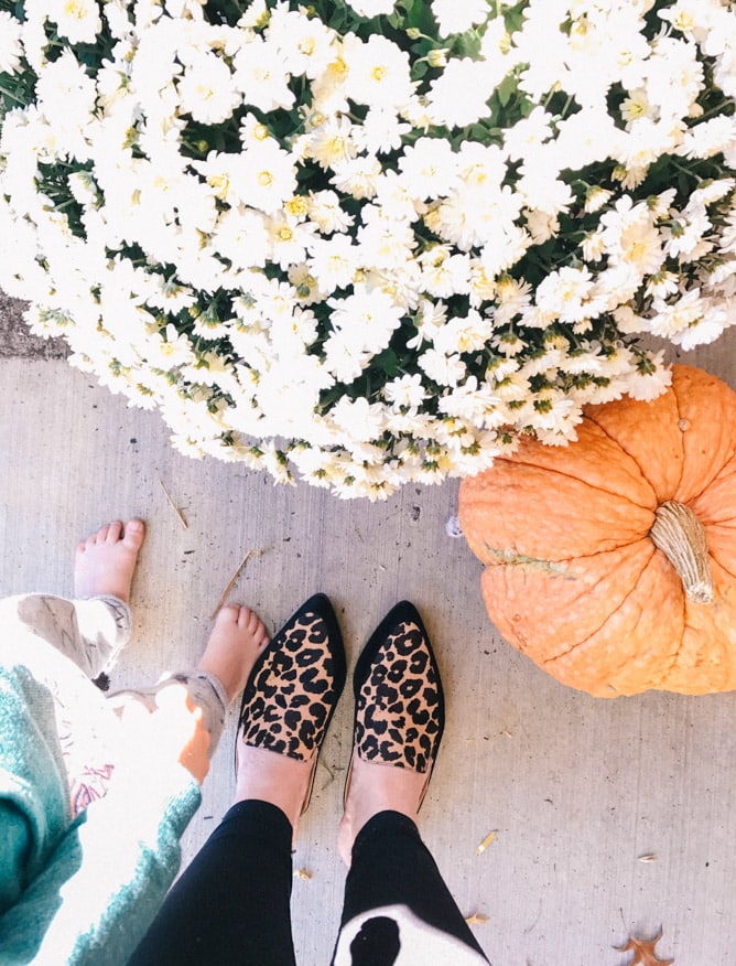 september favorites I howsweeteats.com