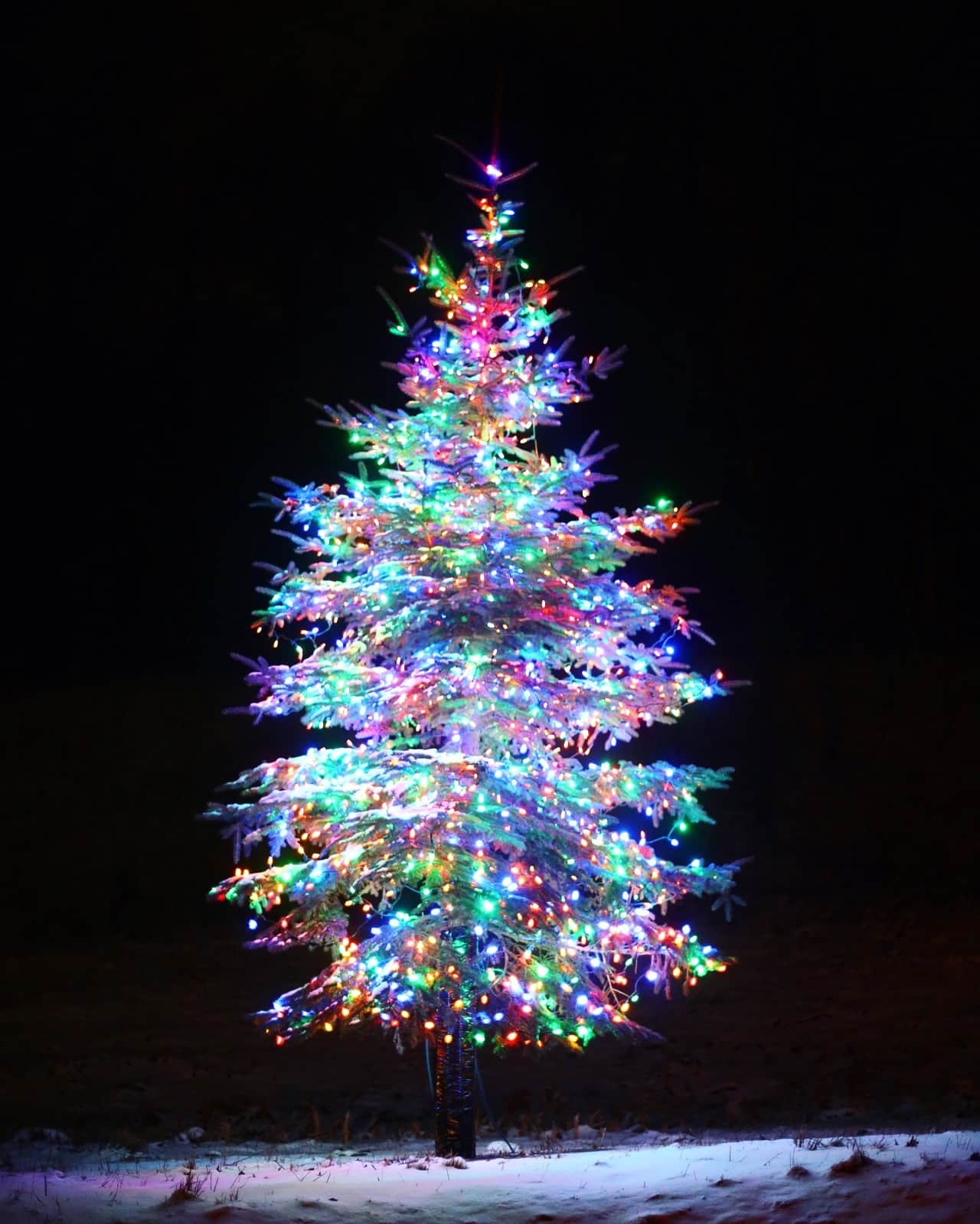 currently crushing on I howsweeteats.com