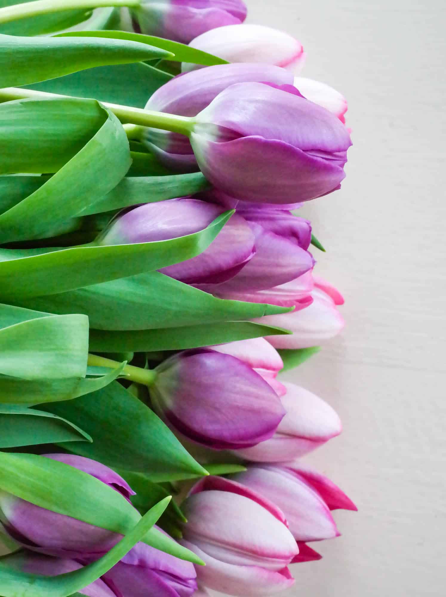 currently crushing on I howsweeteats.com