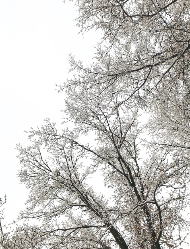 tuesday things I howsweeteats.com