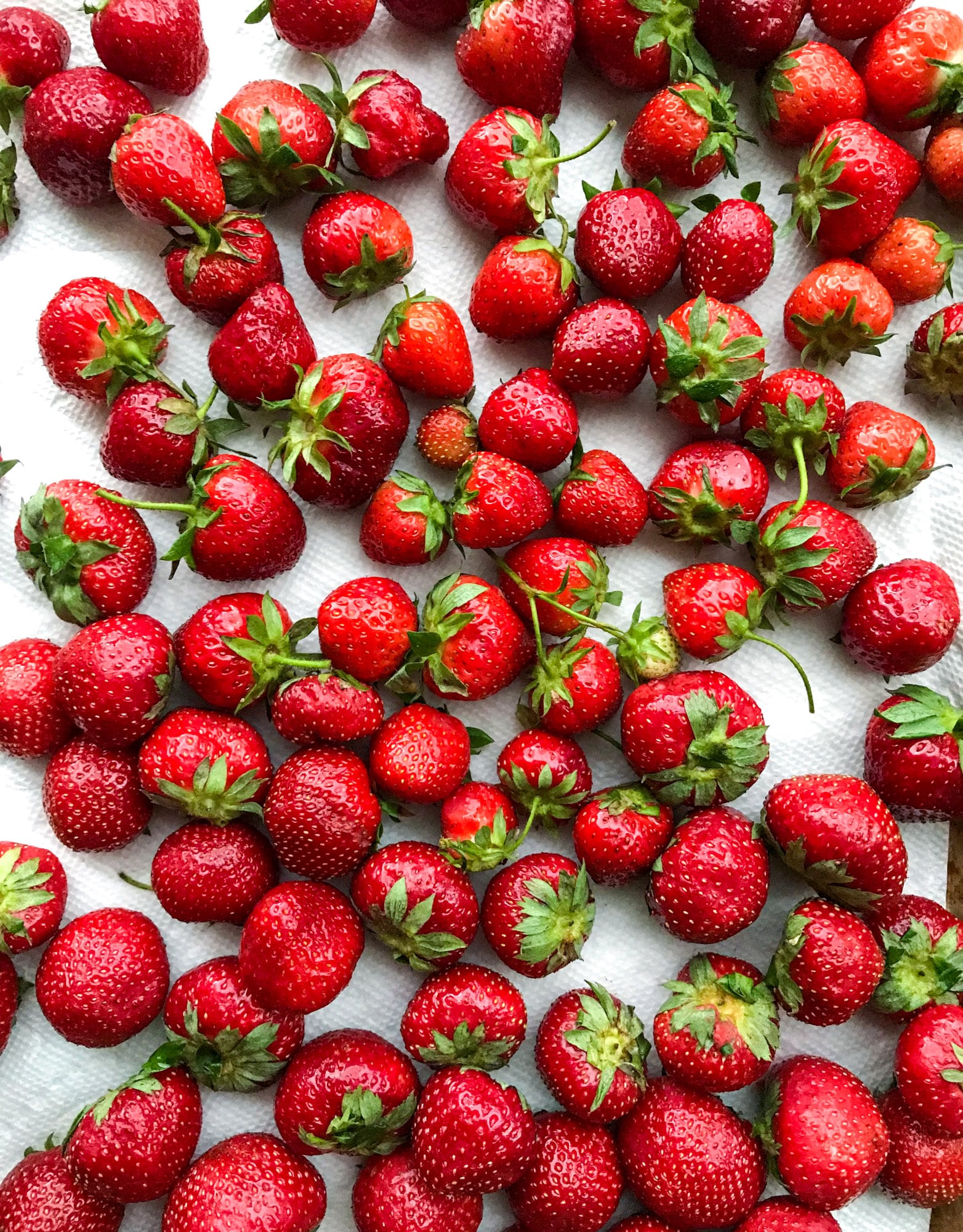 tuesday things I howsweeteats.com