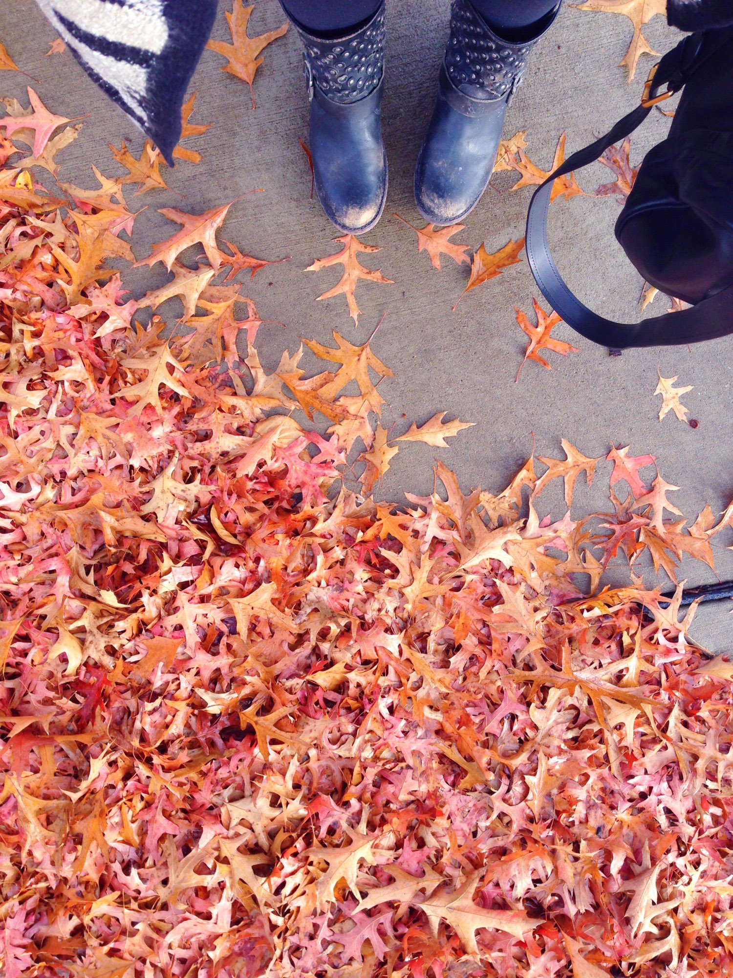 currently crushing on I howsweeteats.com