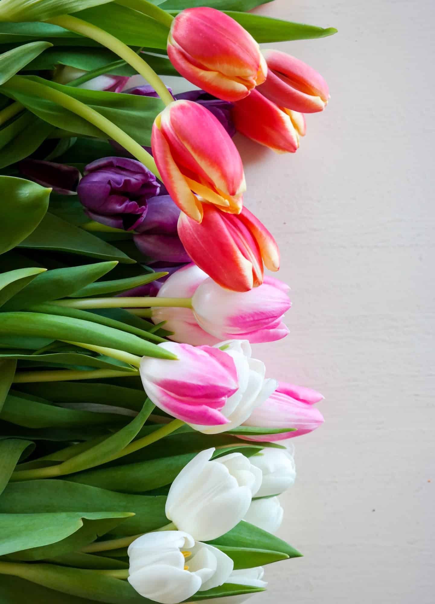 currently crushing on I howsweeteats.com