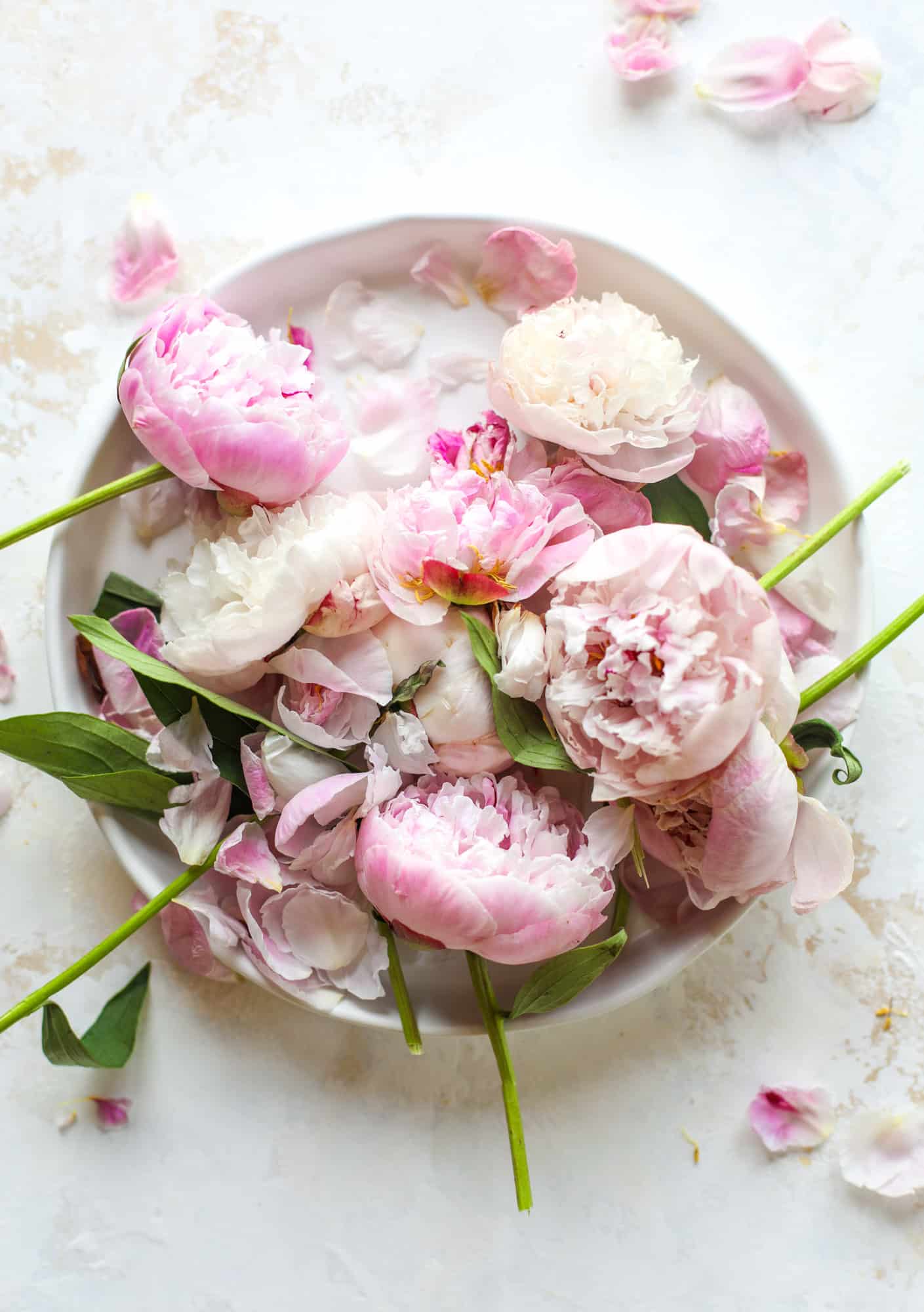 summer fridays on howsweeteats