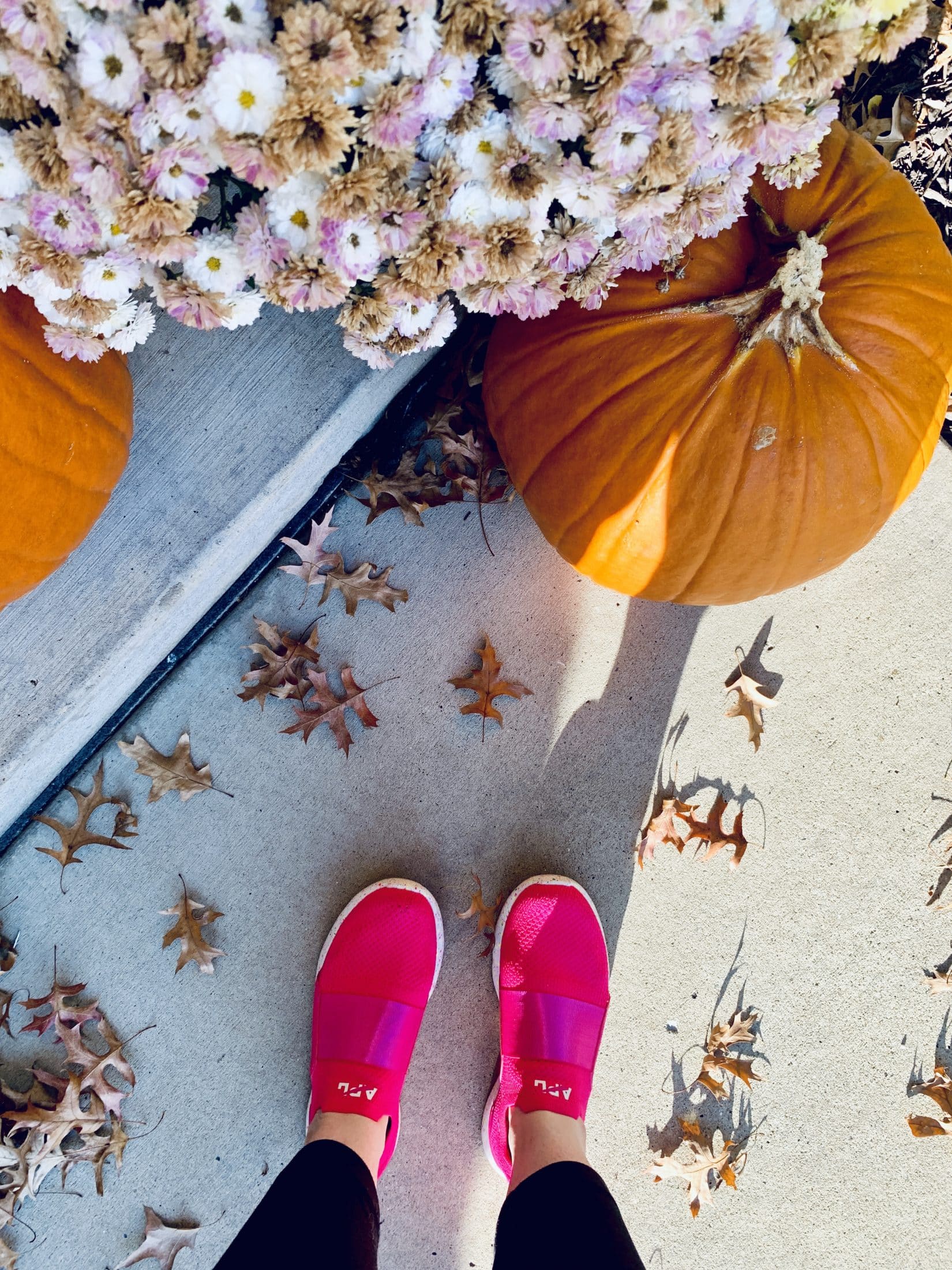 september favorites I howsweeteats