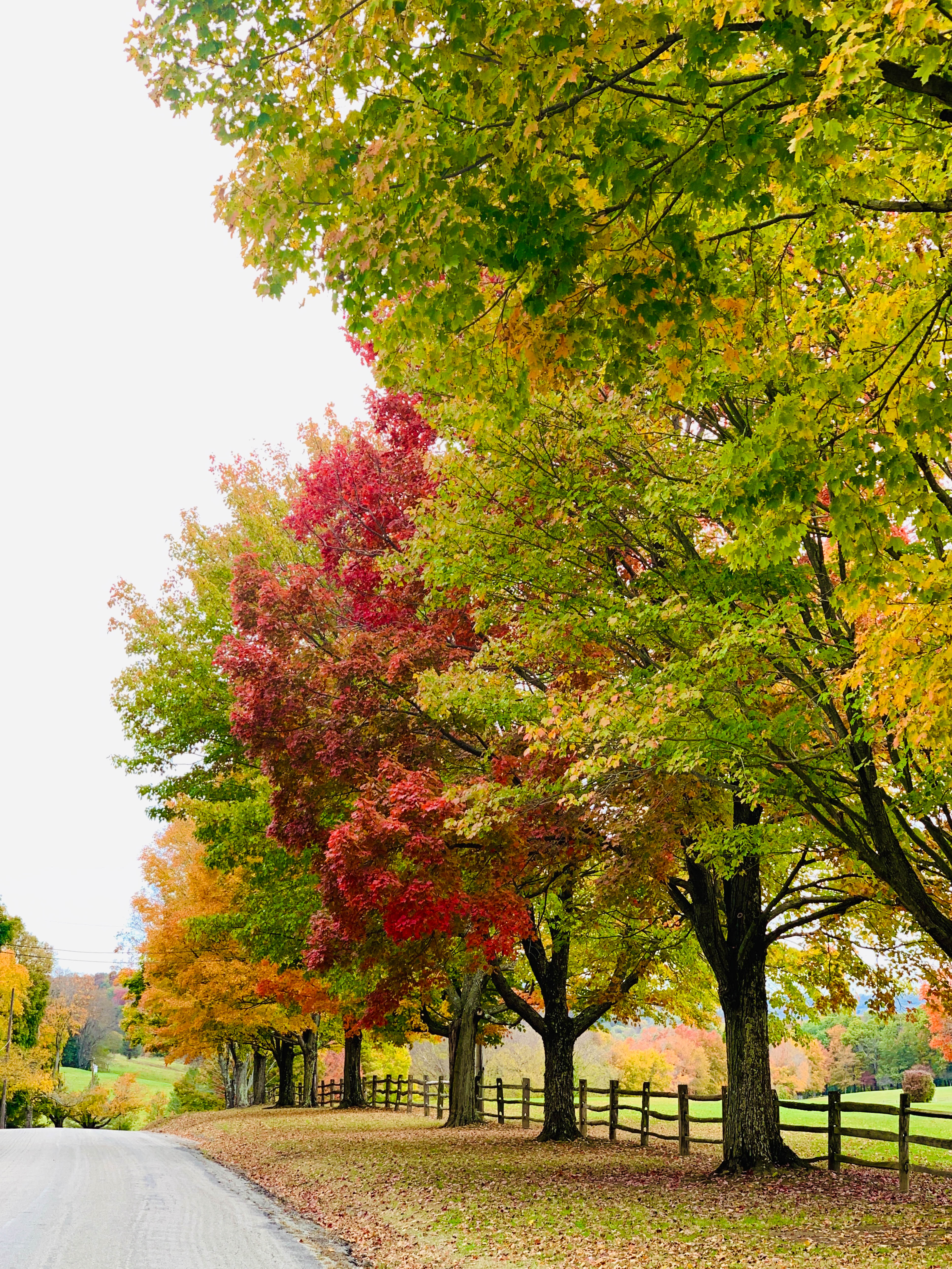 october weekends I howsweeteats