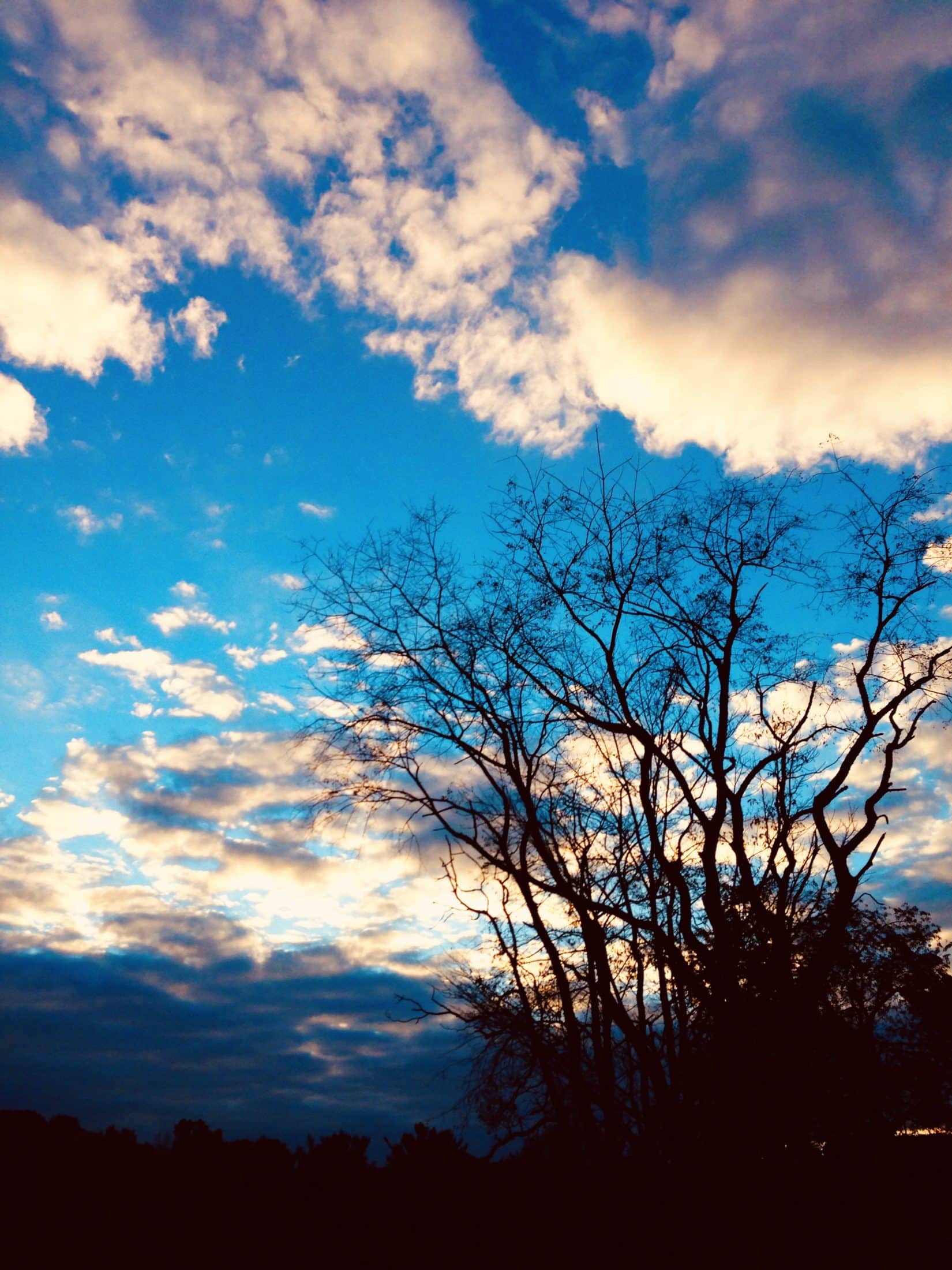 currently crushing on