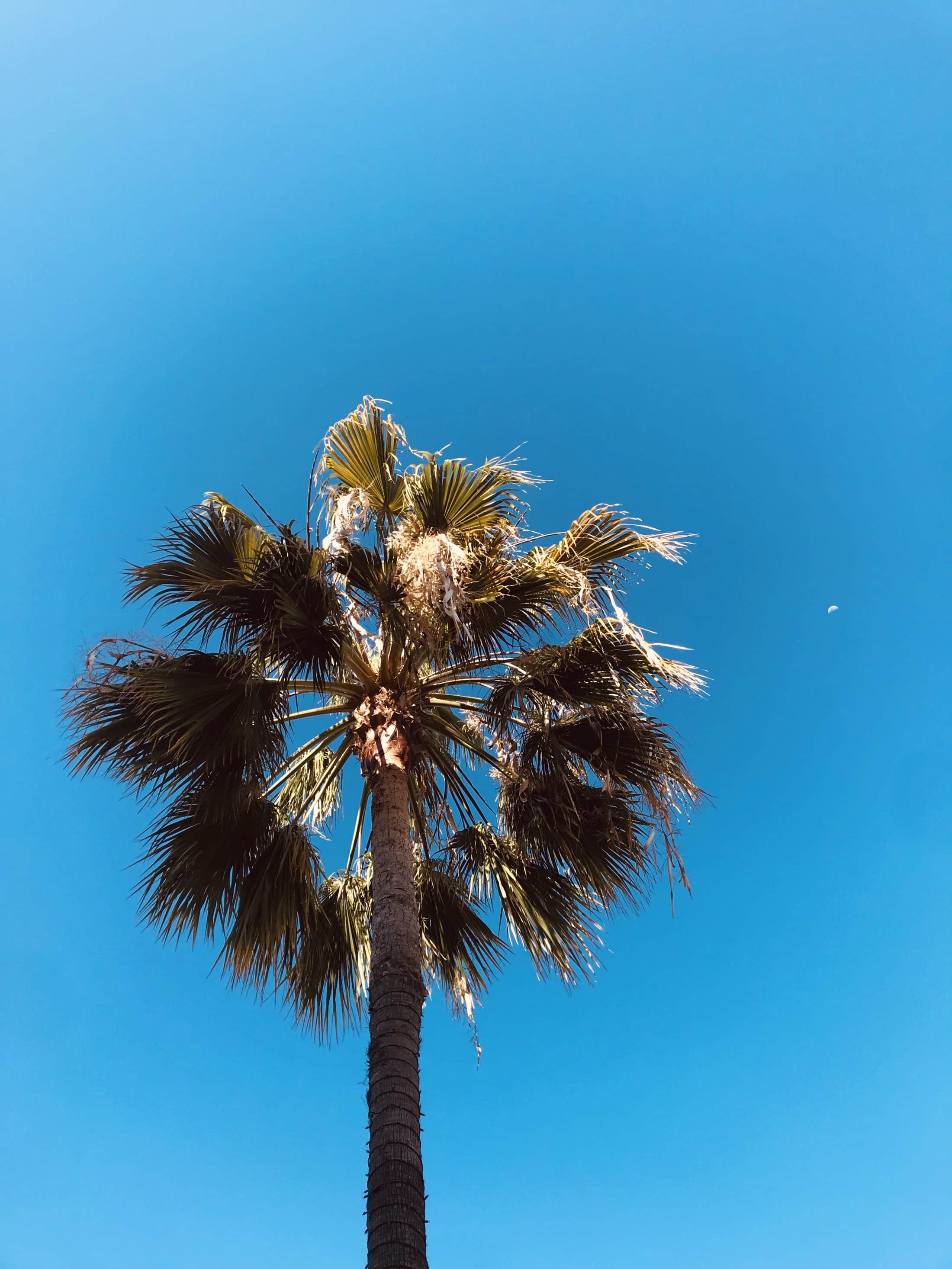 currently crushing on