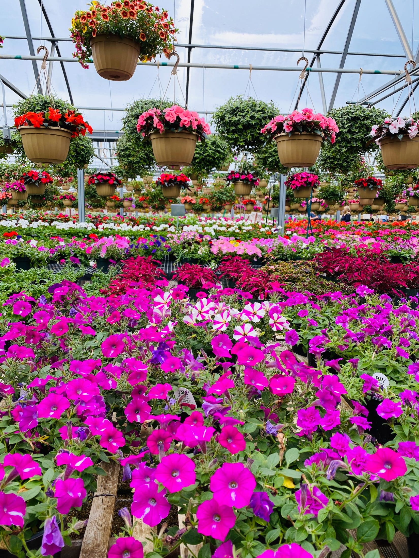 everyday life week 20