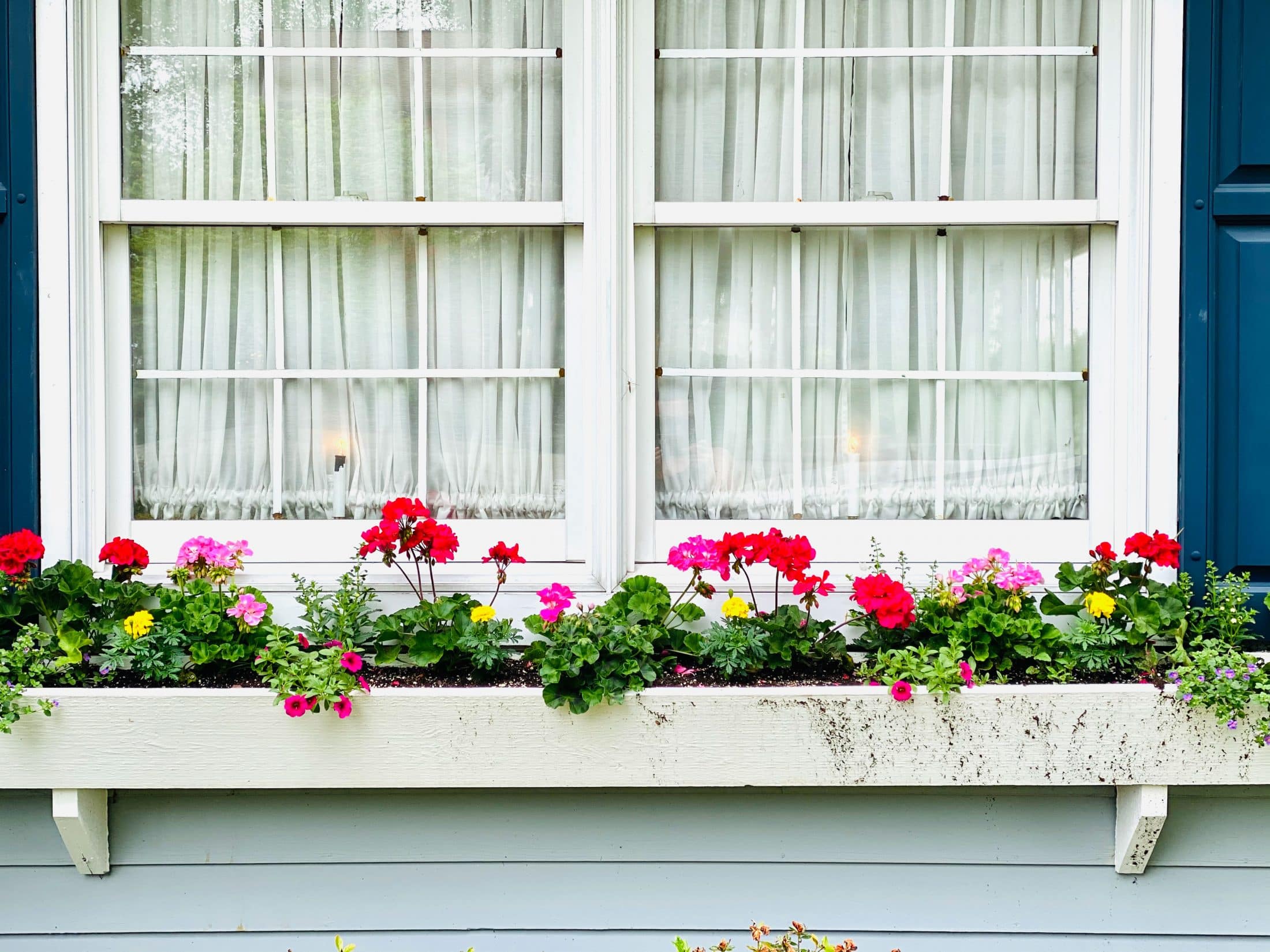 everyday life week 22