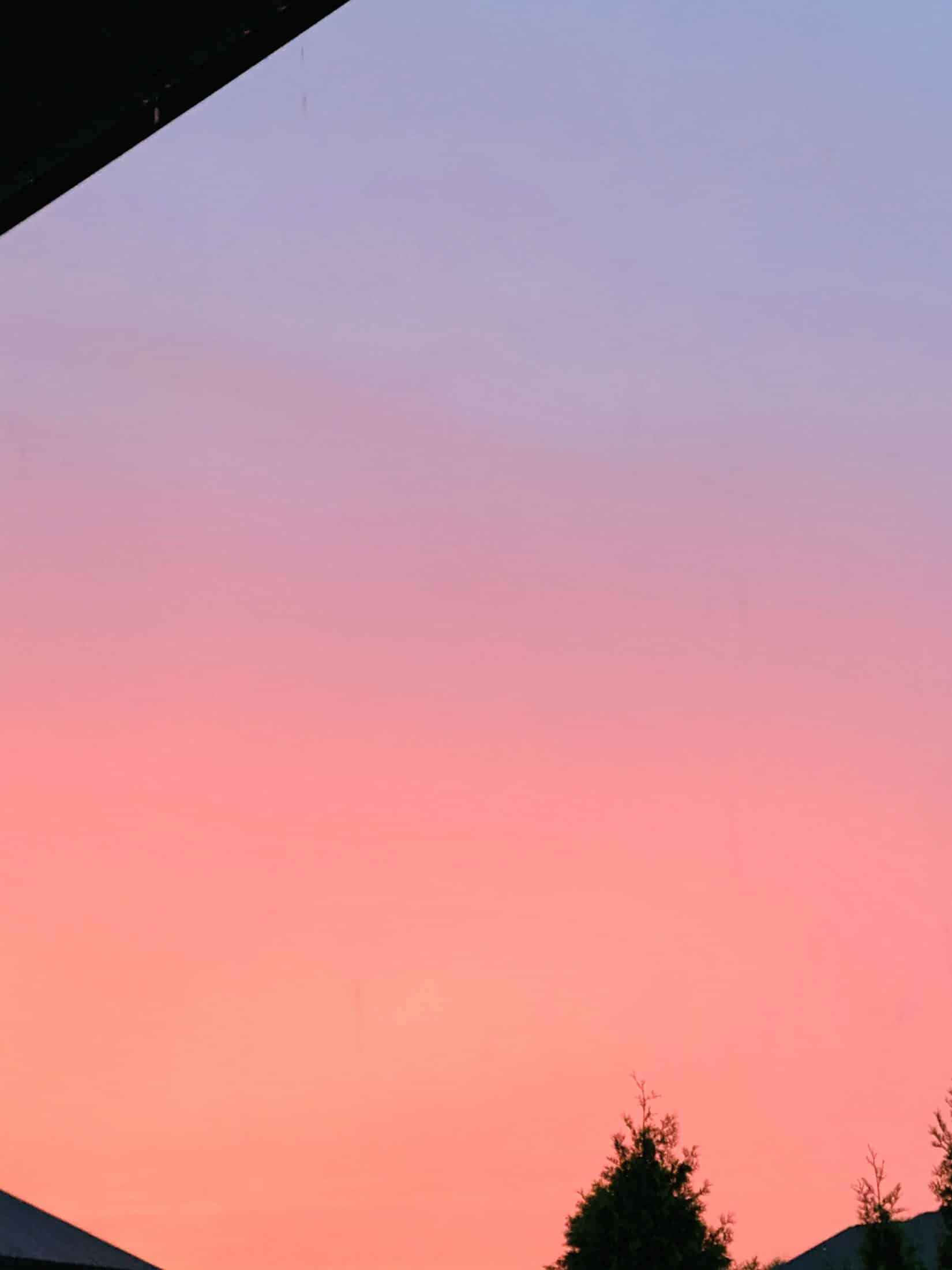 everyday life week 22