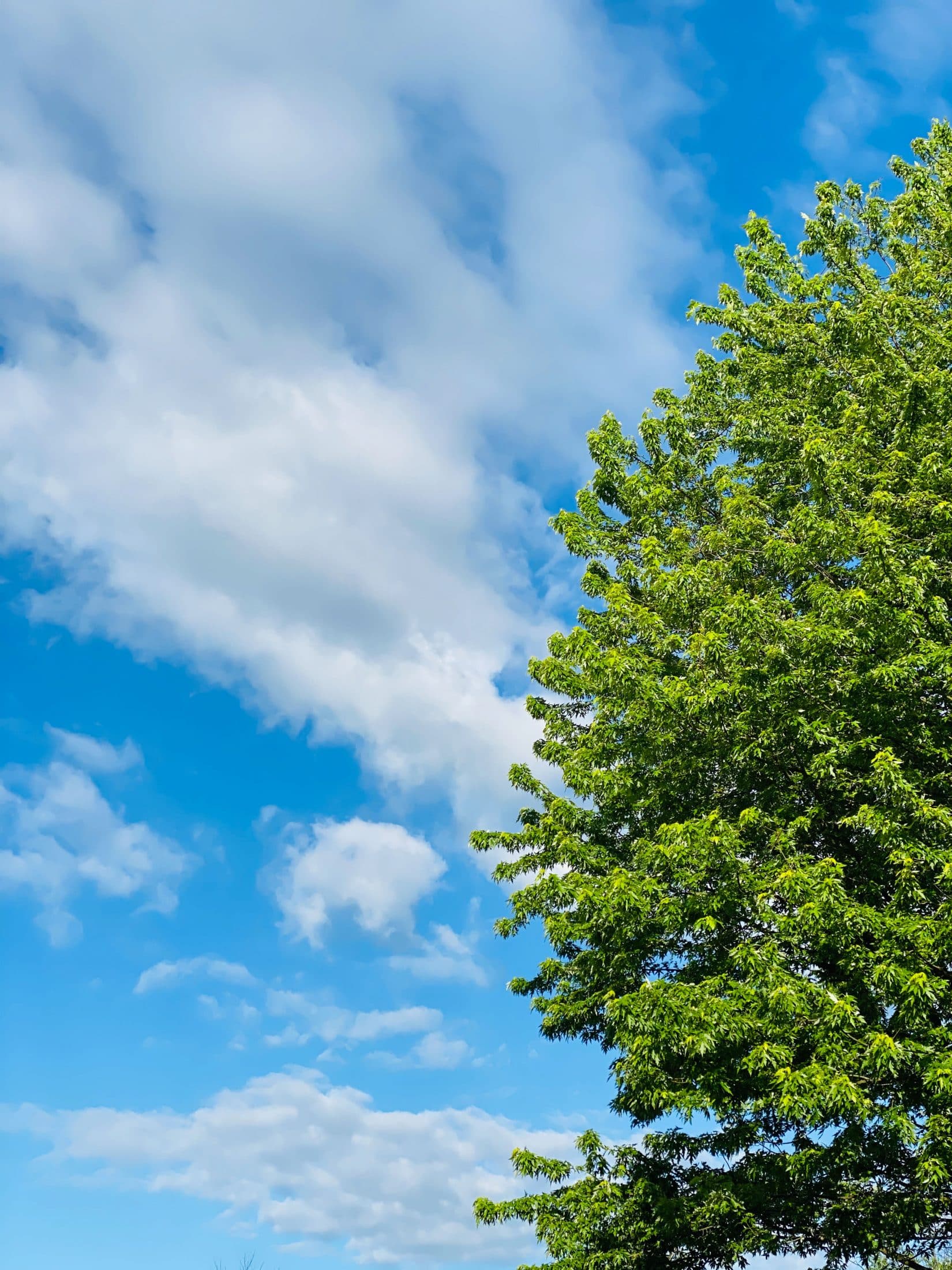 everyday life week 22