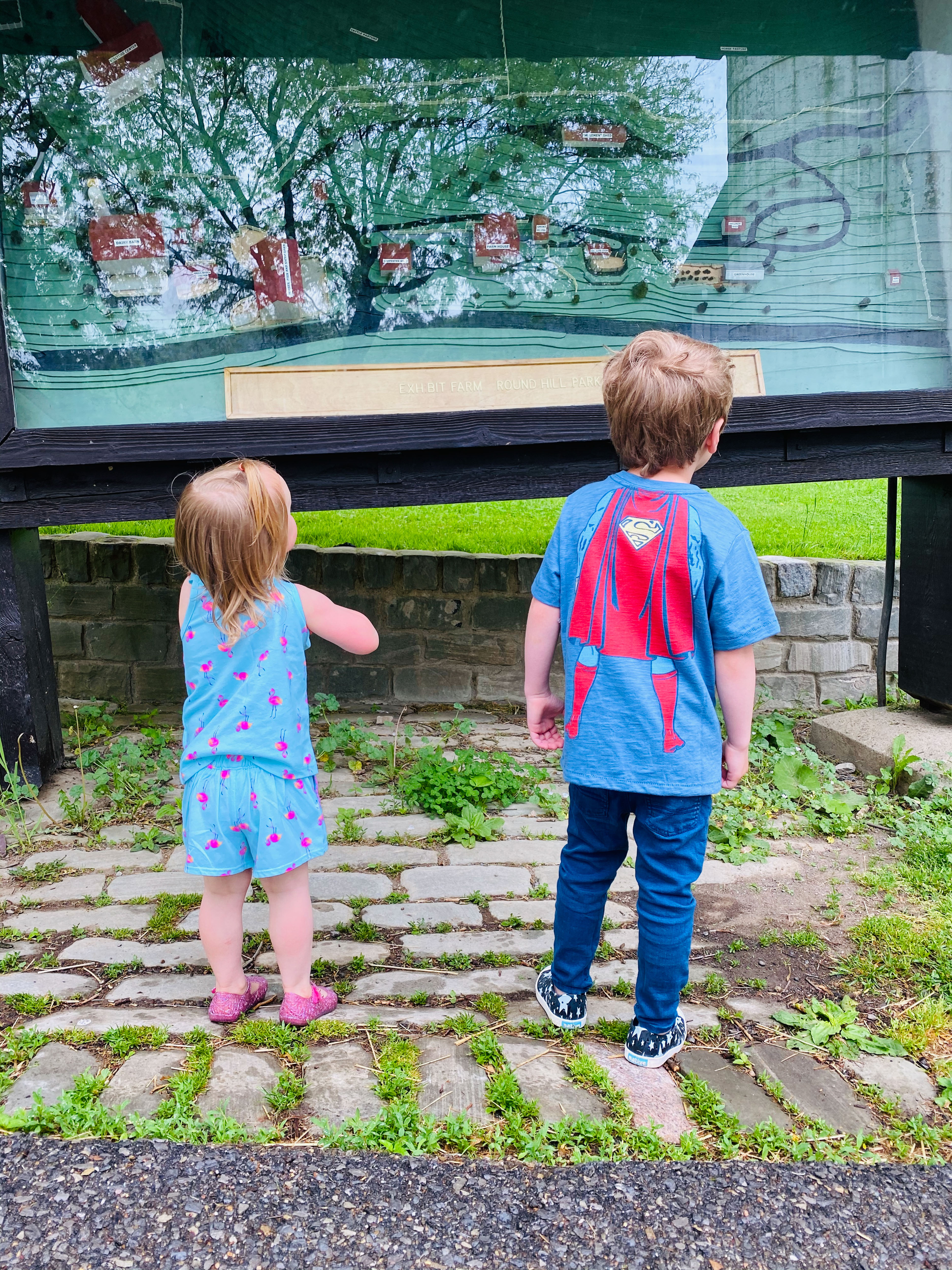 everyday life week 22