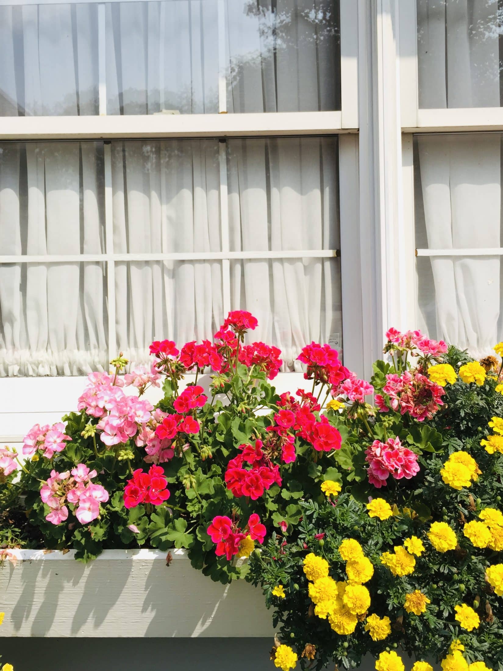 currently crushing on