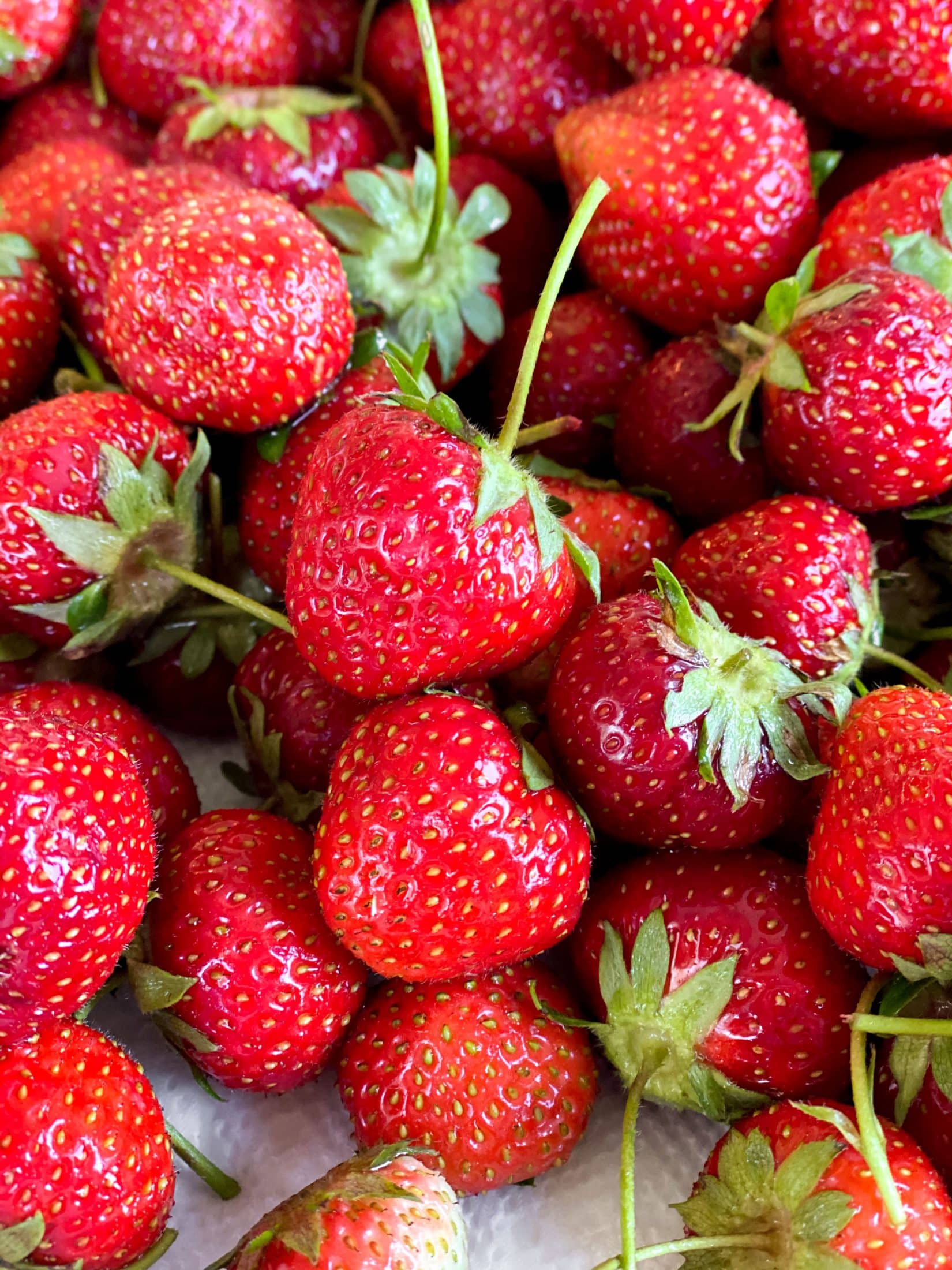 fresh picked strawberries