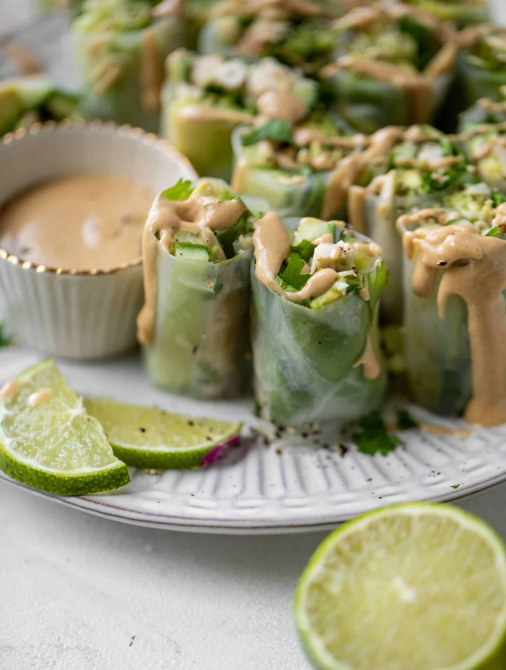 avocado summer rolls with peanut coconut dipping sauce
