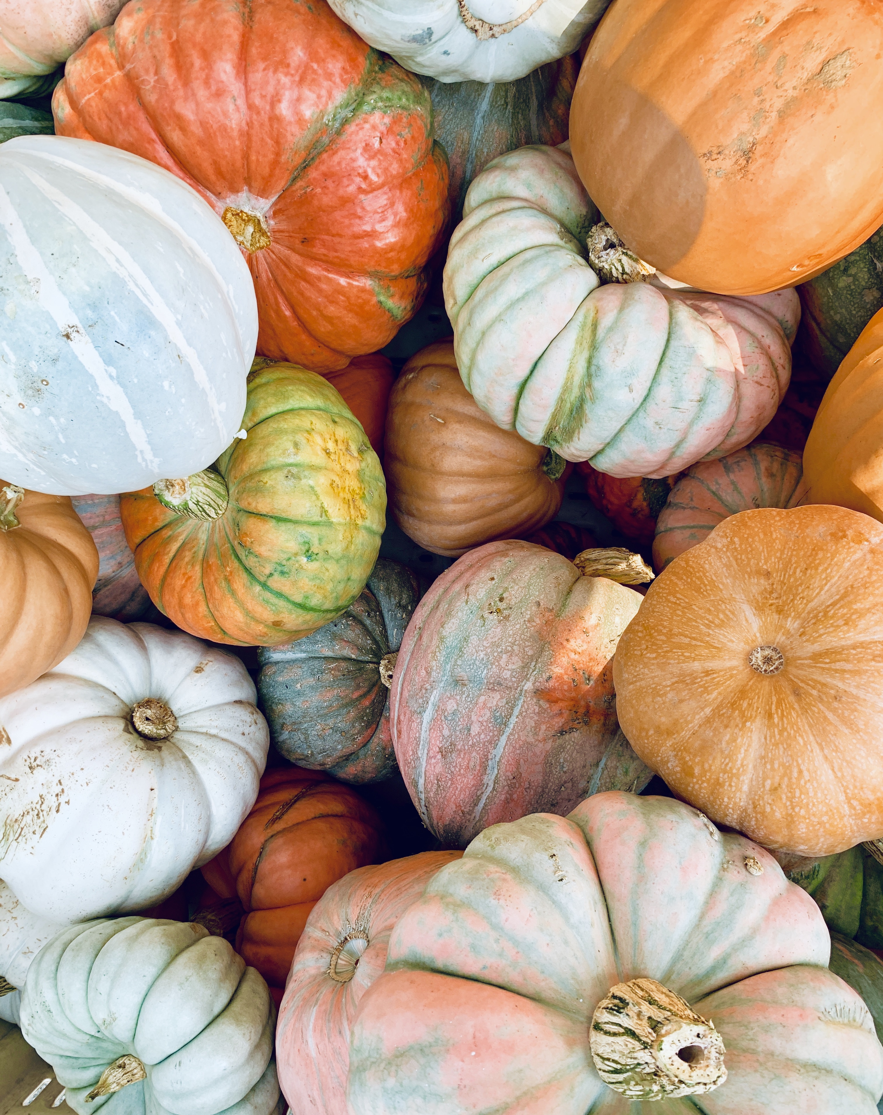 currently crushing on