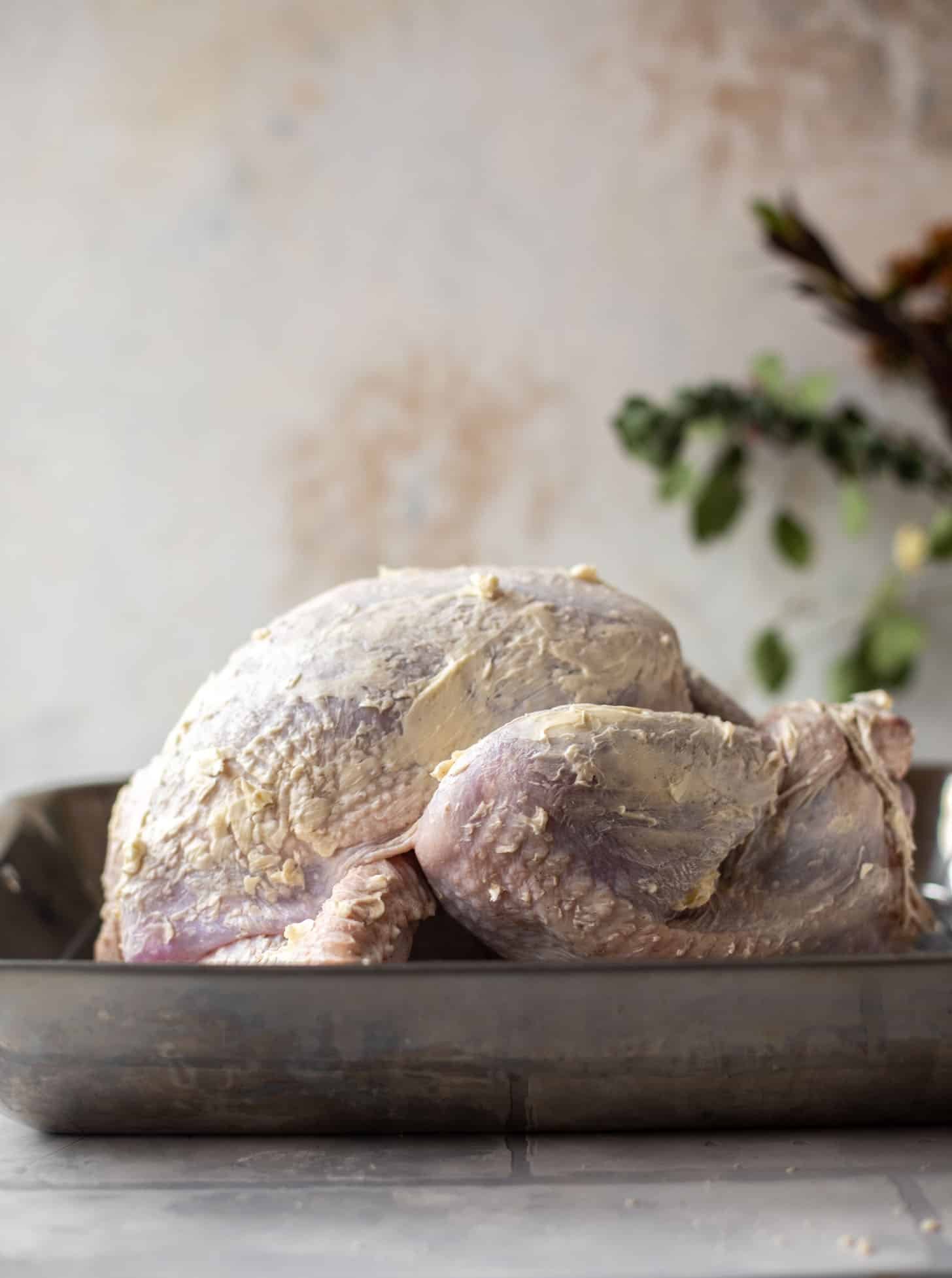 turkey rubbed with butter in a roasting pan
