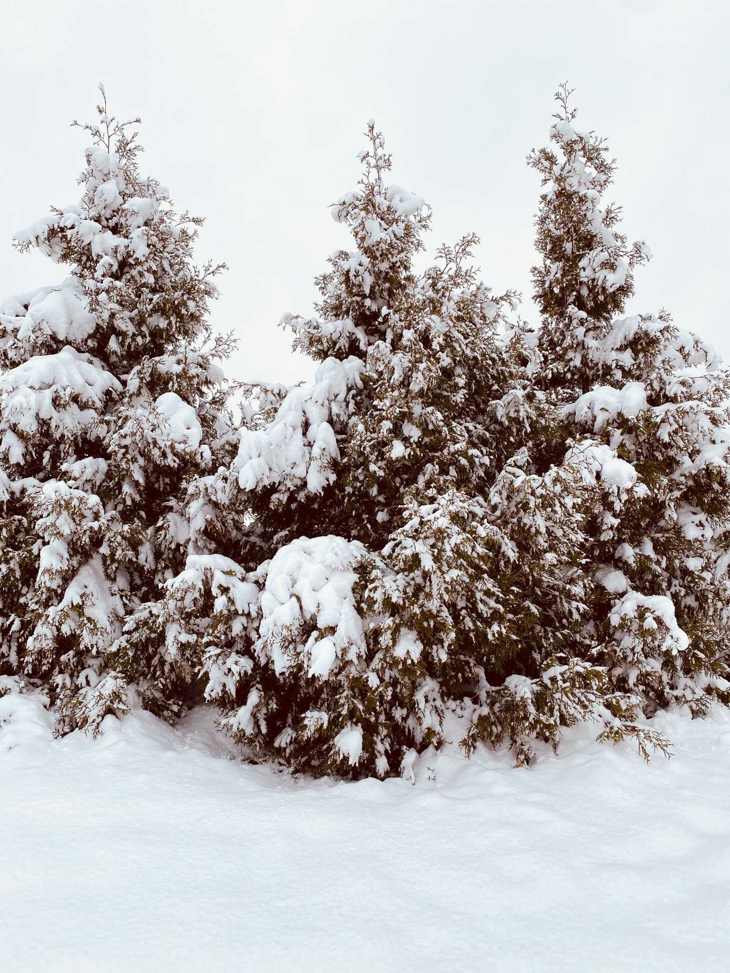 currently crushing on